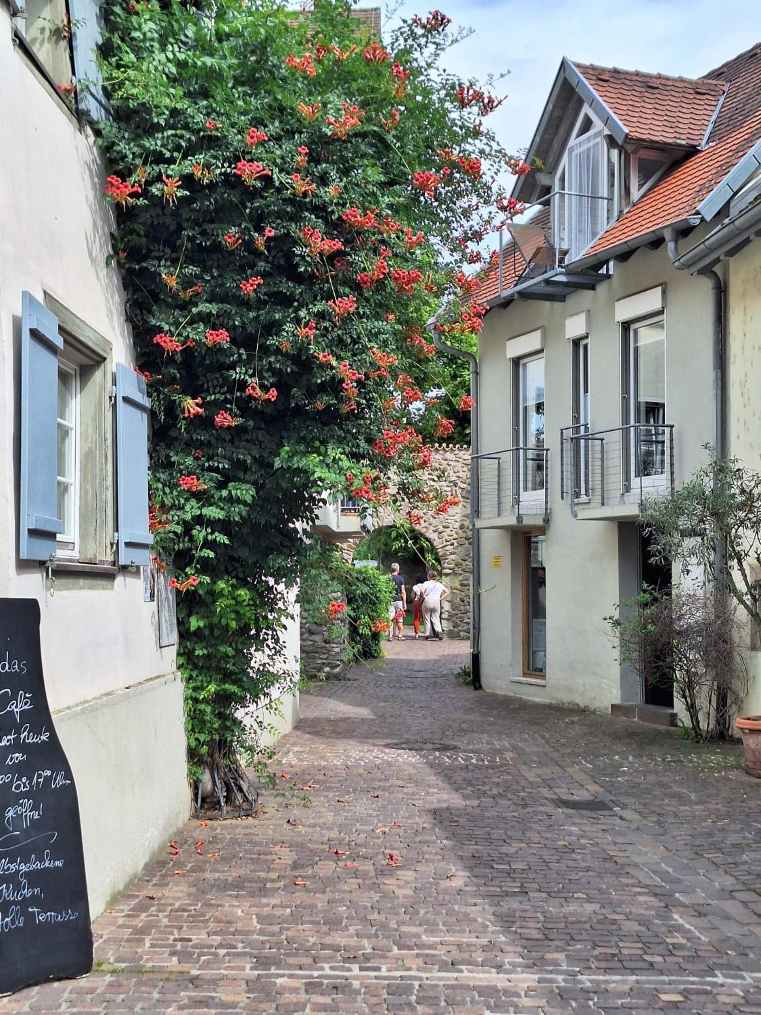 Ferienwohnung Ueberblick Radolfzell am Bodensee Luaran gambar